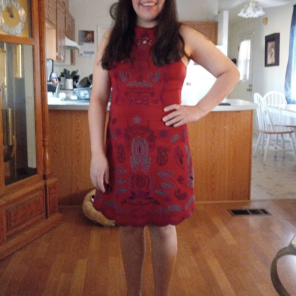 Gorgeous Francescas collection red dress size medium